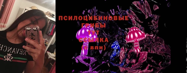 ГАЛЛЮЦИНОГЕННЫЕ ГРИБЫ Абинск