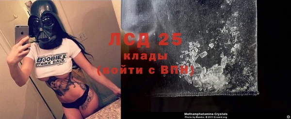 сатива Абаза