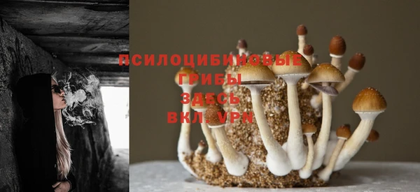 тгк Абдулино