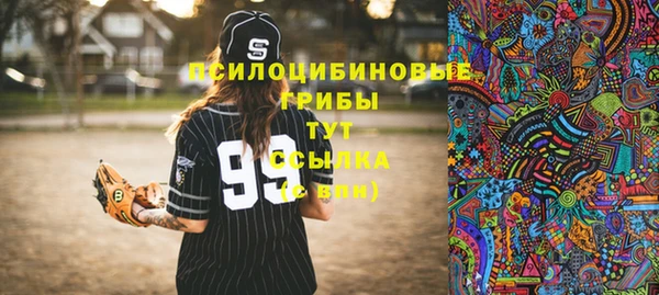 сатива Абаза