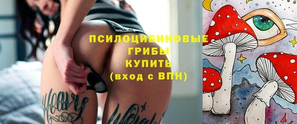 не бодяженный Алексин