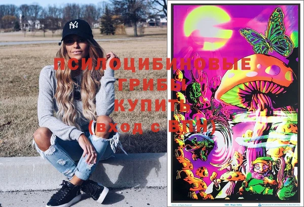 сатива Абаза