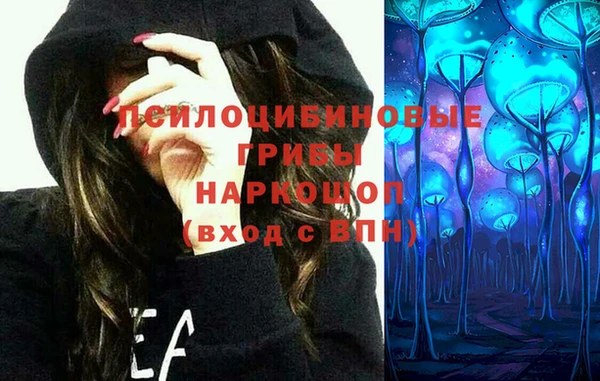 сатива Абаза
