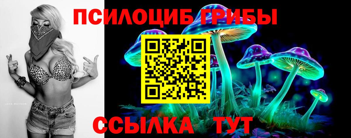 Балашиха  Галлюциногенные грибы мухоморы  Вход с VPN 